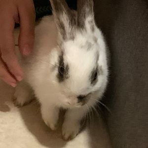 Meet your Posher, Jordan